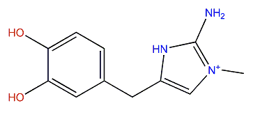 Leucettazine A